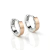 sribna_prykrasa_silva_jewelry_2322.webp Срібні сережки Шанель із золотом
